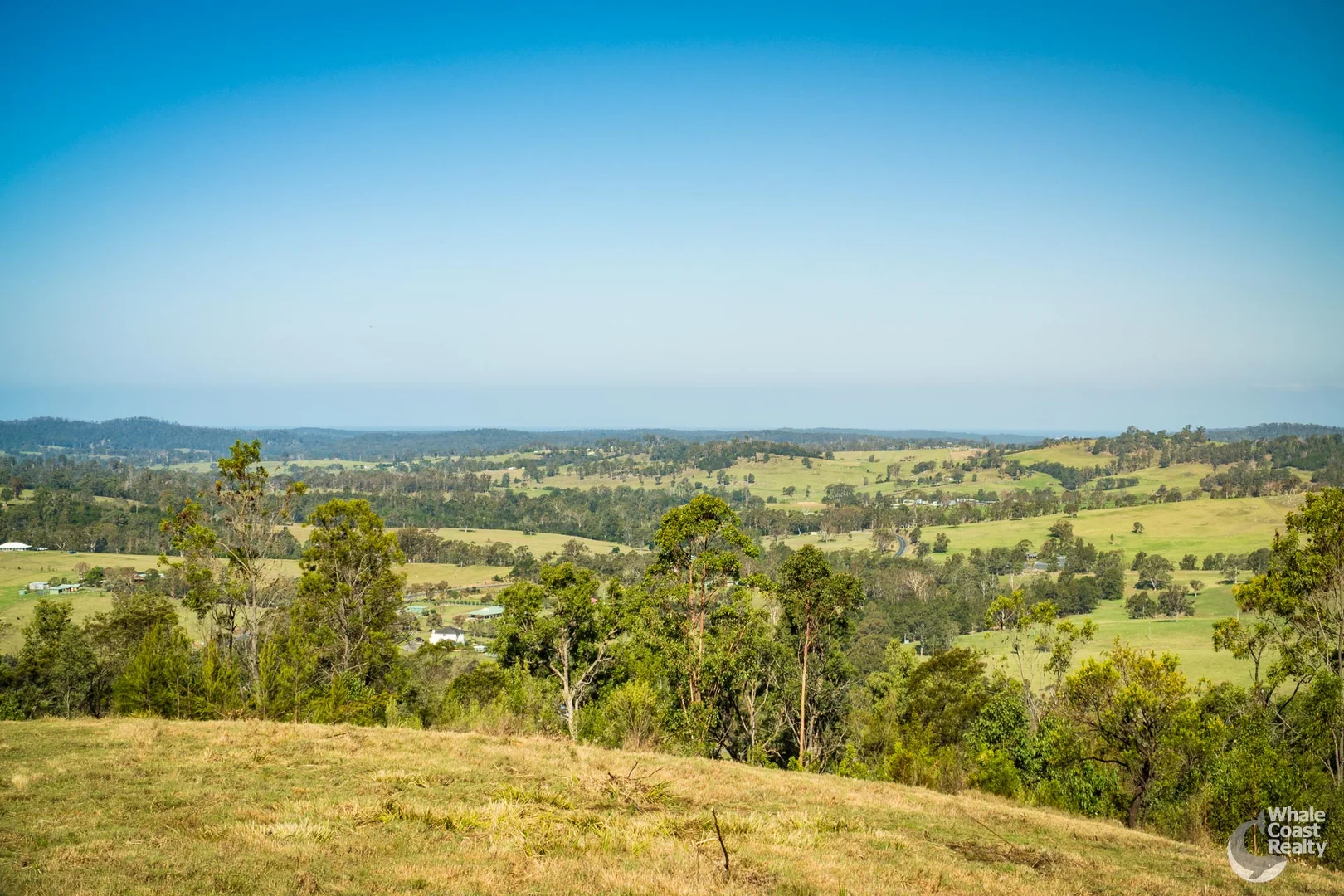 Additional image 9 of Lot 22 Barrabaroo Road, Cobargo NSW 2550