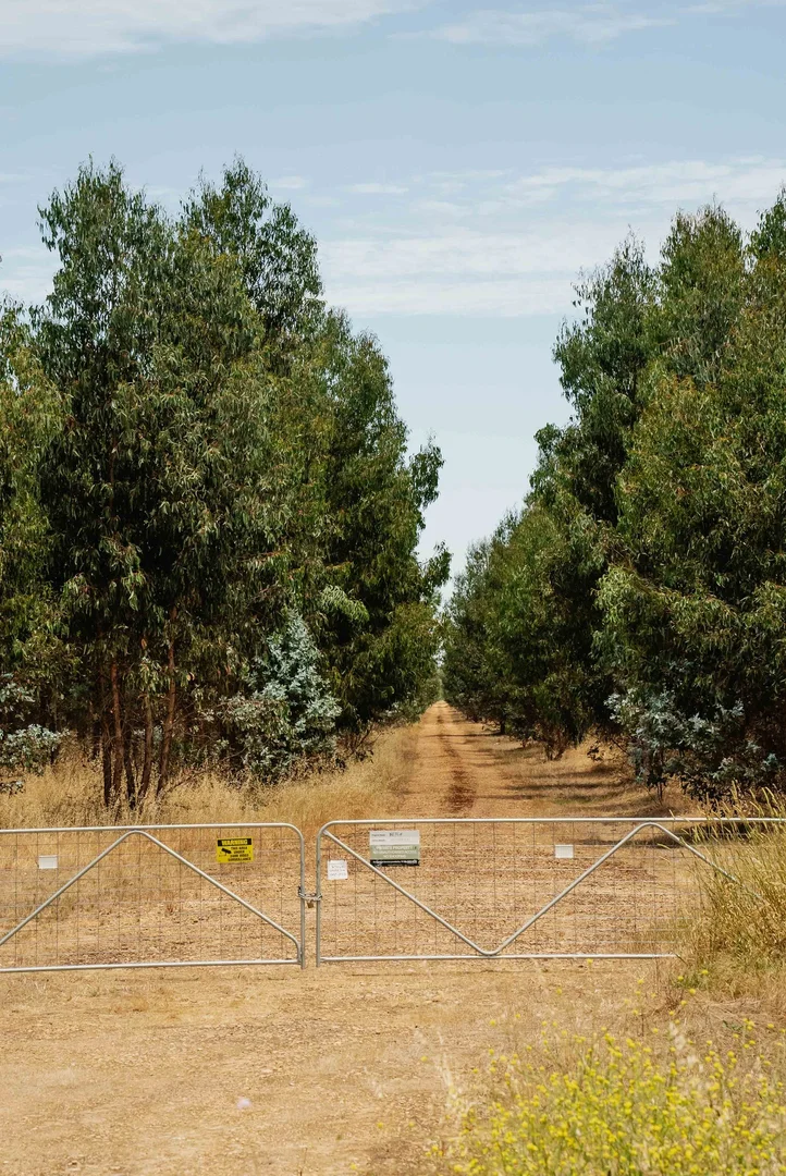 Additional image 9 of Wattle Range SA 5280