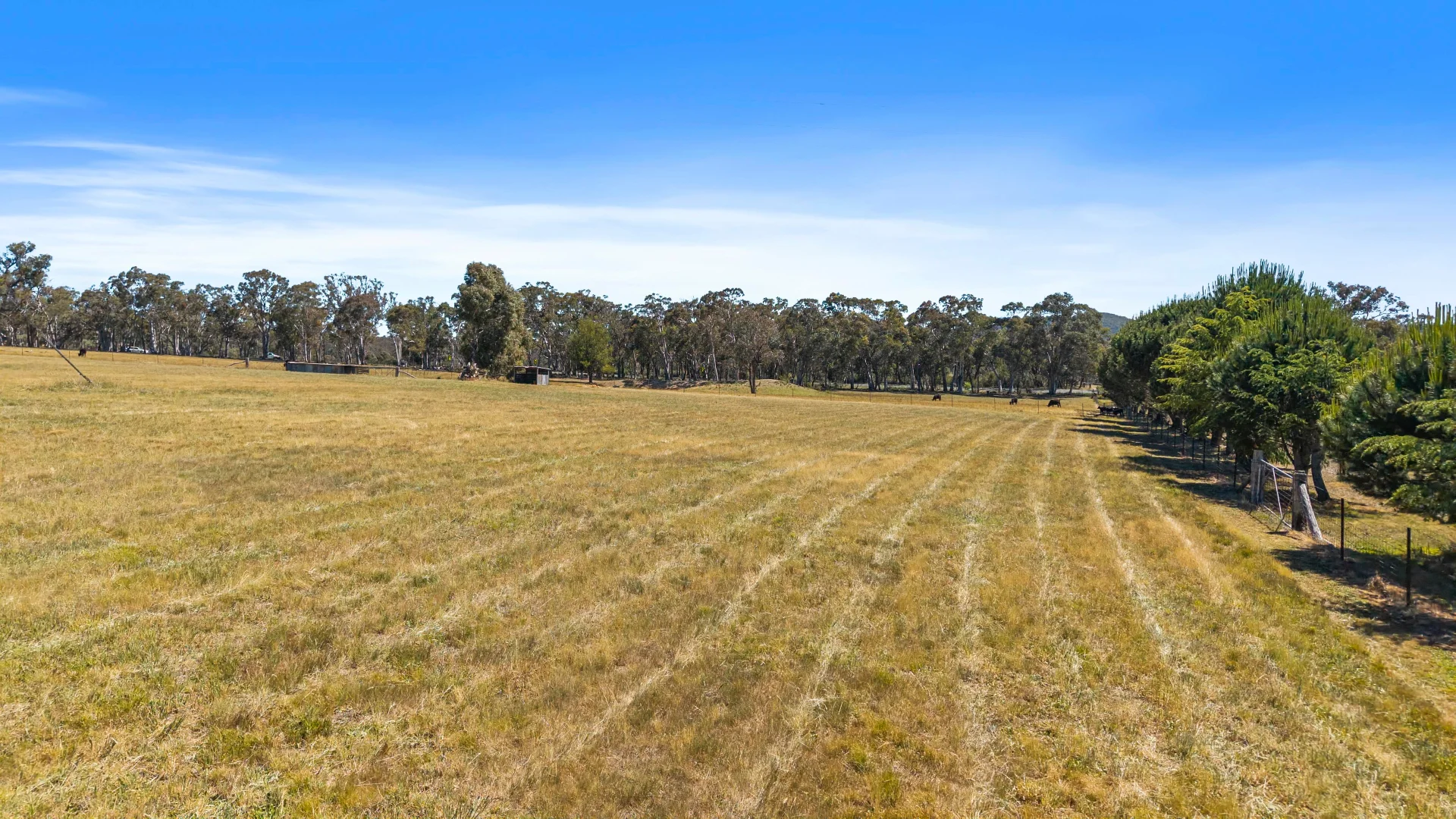 Additional image 30 of 5066 Castlereagh Highway, Round Swamp NSW 2846
