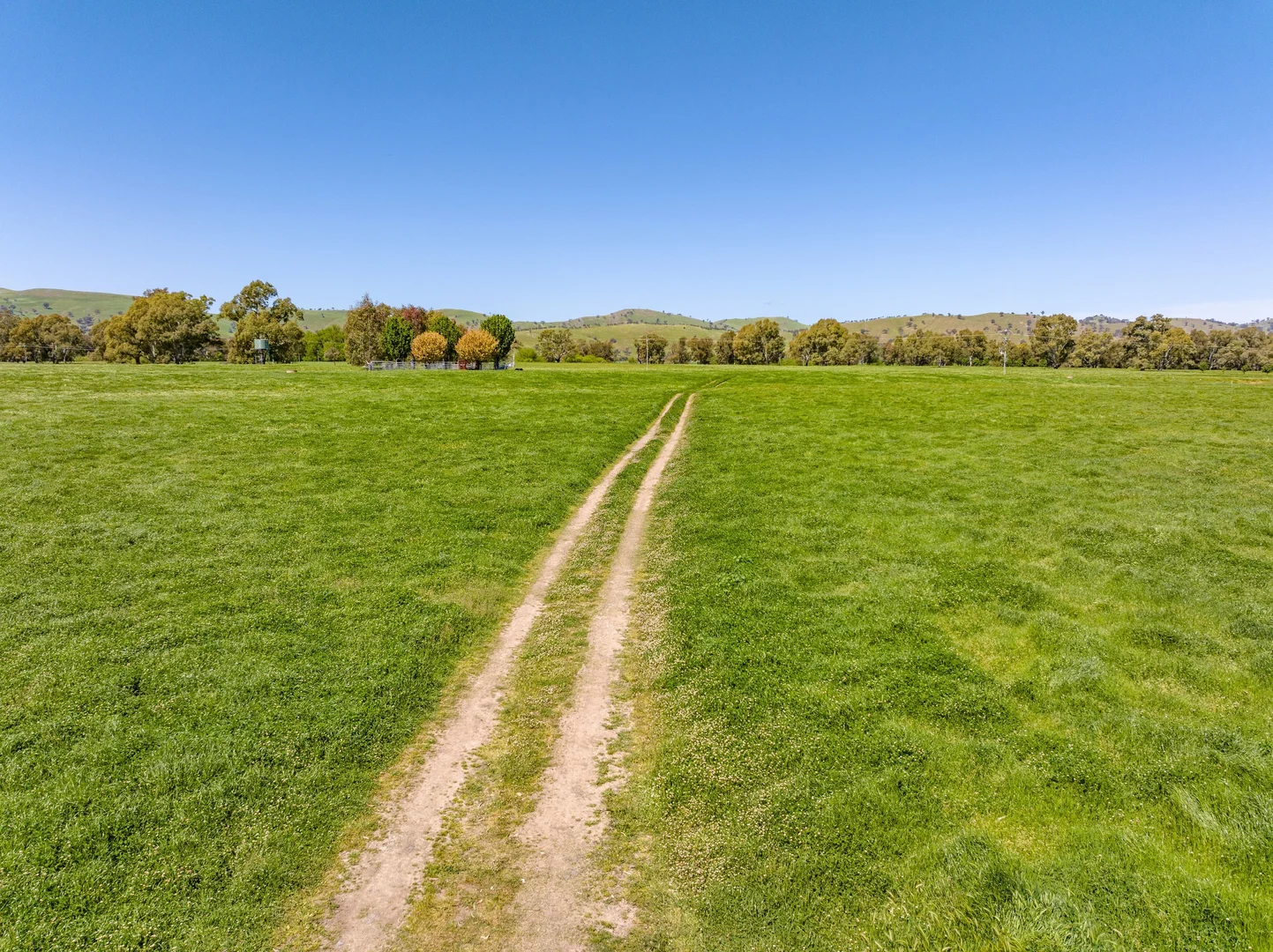 Additional image 29 of 44 Dodd Street, Gundagai NSW 2722