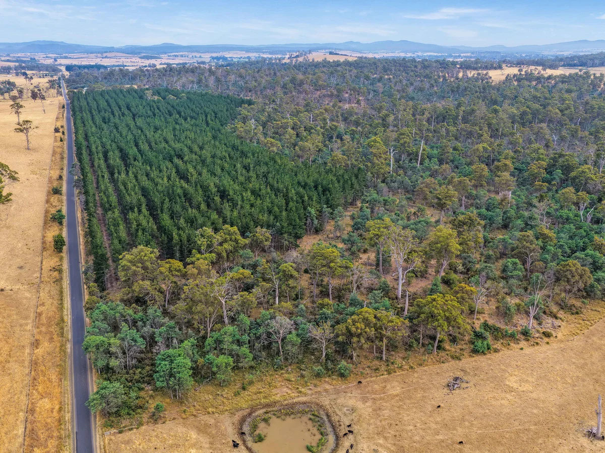 Additional image 6 of 179 Cluan Road, Cluan TAS 7303