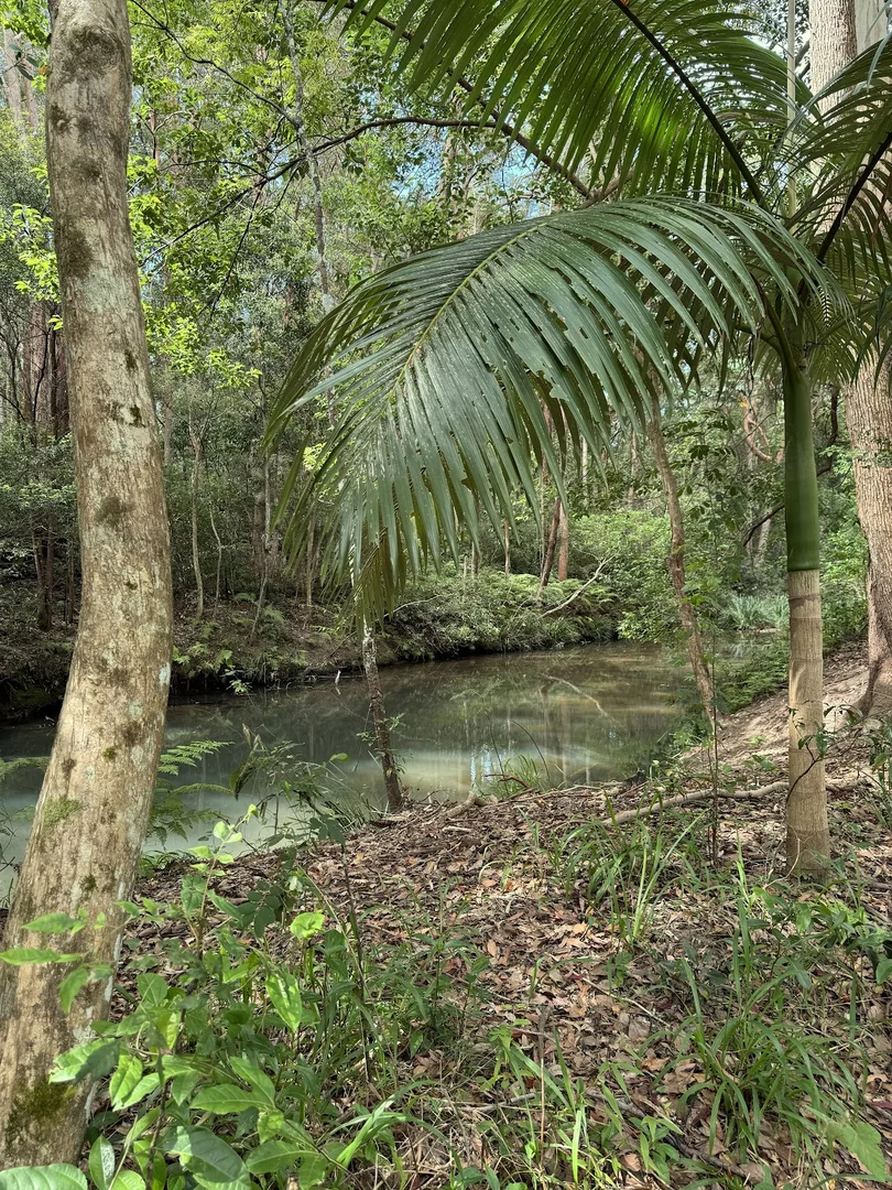 Additional image 31 of 5 Tanby Court, Mudgeeraba QLD 4213