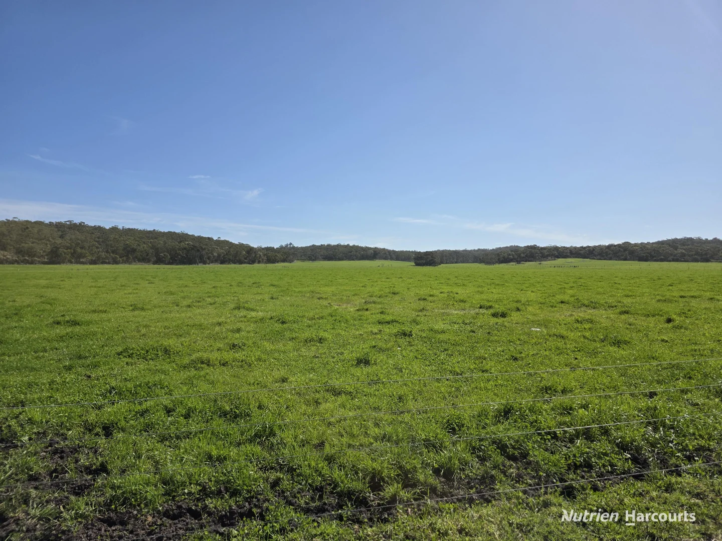 Additional image 4 of 60 Skippings Road, Kordabup WA 6333