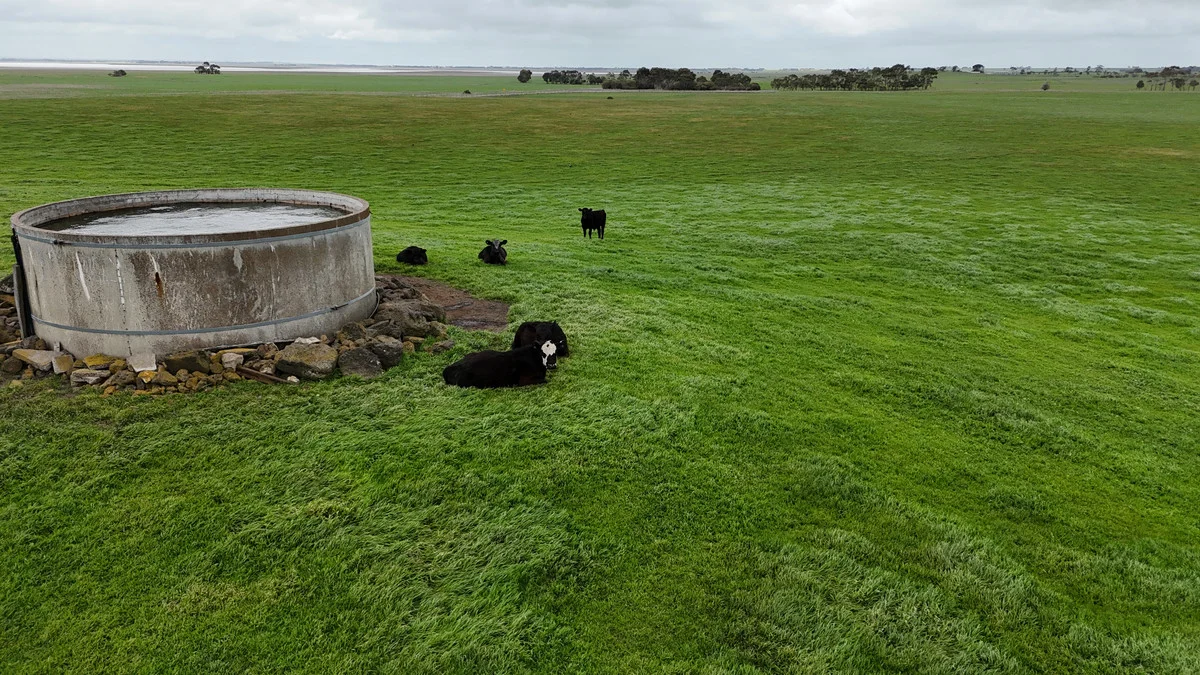 Additional image 11 of 215 Cundare-Duverney Road, Cundare North VIC 3251