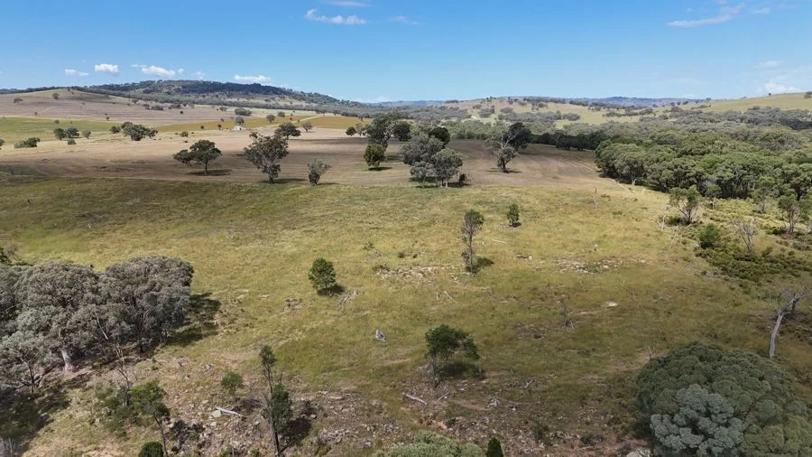 Additional image 6 of 190 BROWN SPRINGS ROAD, Coolah NSW 2843