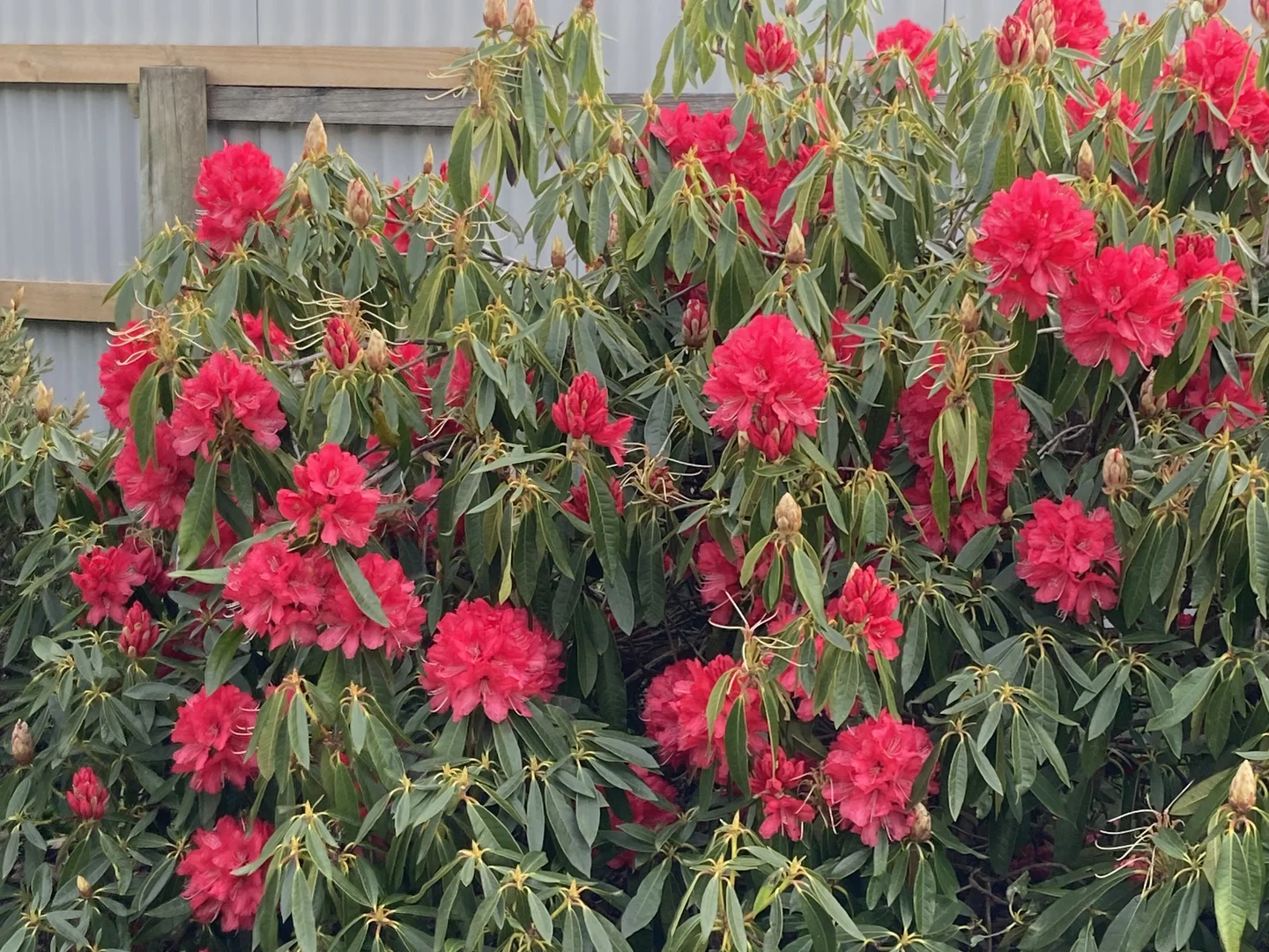 Additional image 35 of 211 Upper Scotchtown Road, Scotchtown TAS 7330