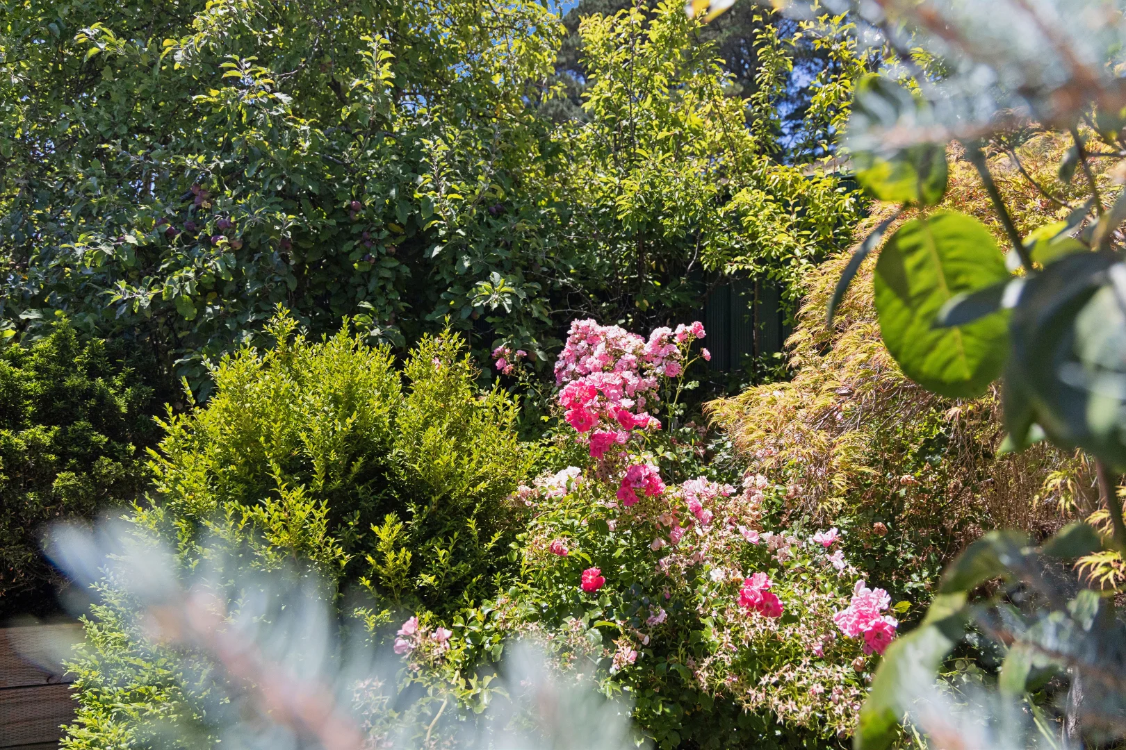 Additional image 17 of 1 Albert Lane, Daylesford VIC 3460