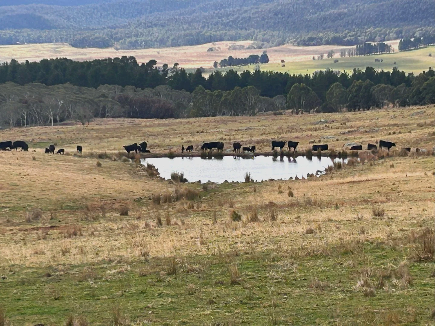 11 & 128 Stoney Ridge Road, Braidwood NSW 2622