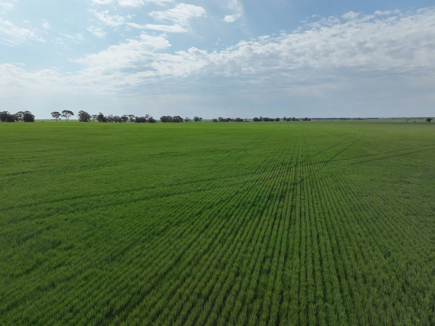 Additional image 7 of 0 Borung Highway, Jeffcott North VIC 3480