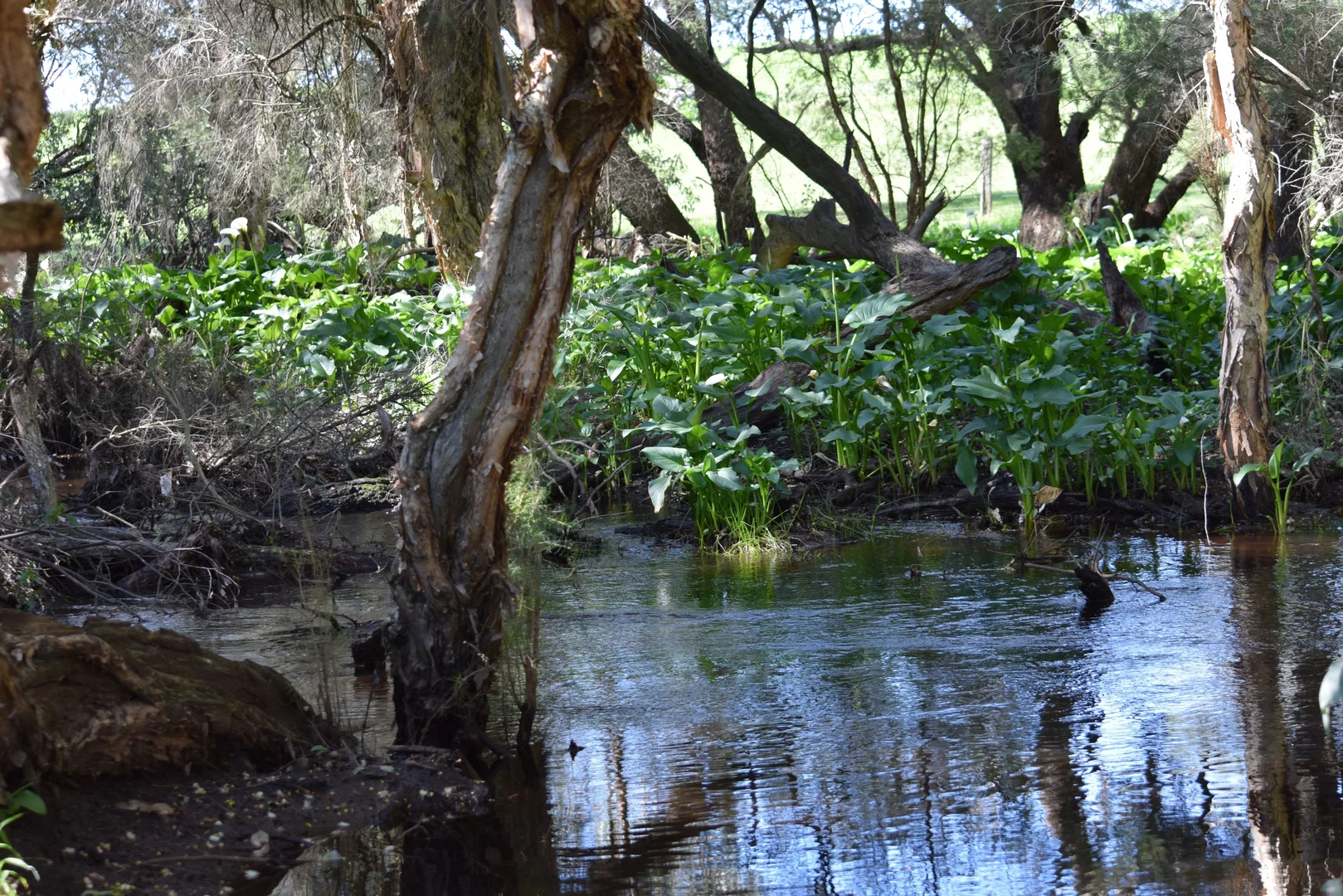 Additional image 11 of 62 Cheriton Road, Gingin WA 6503