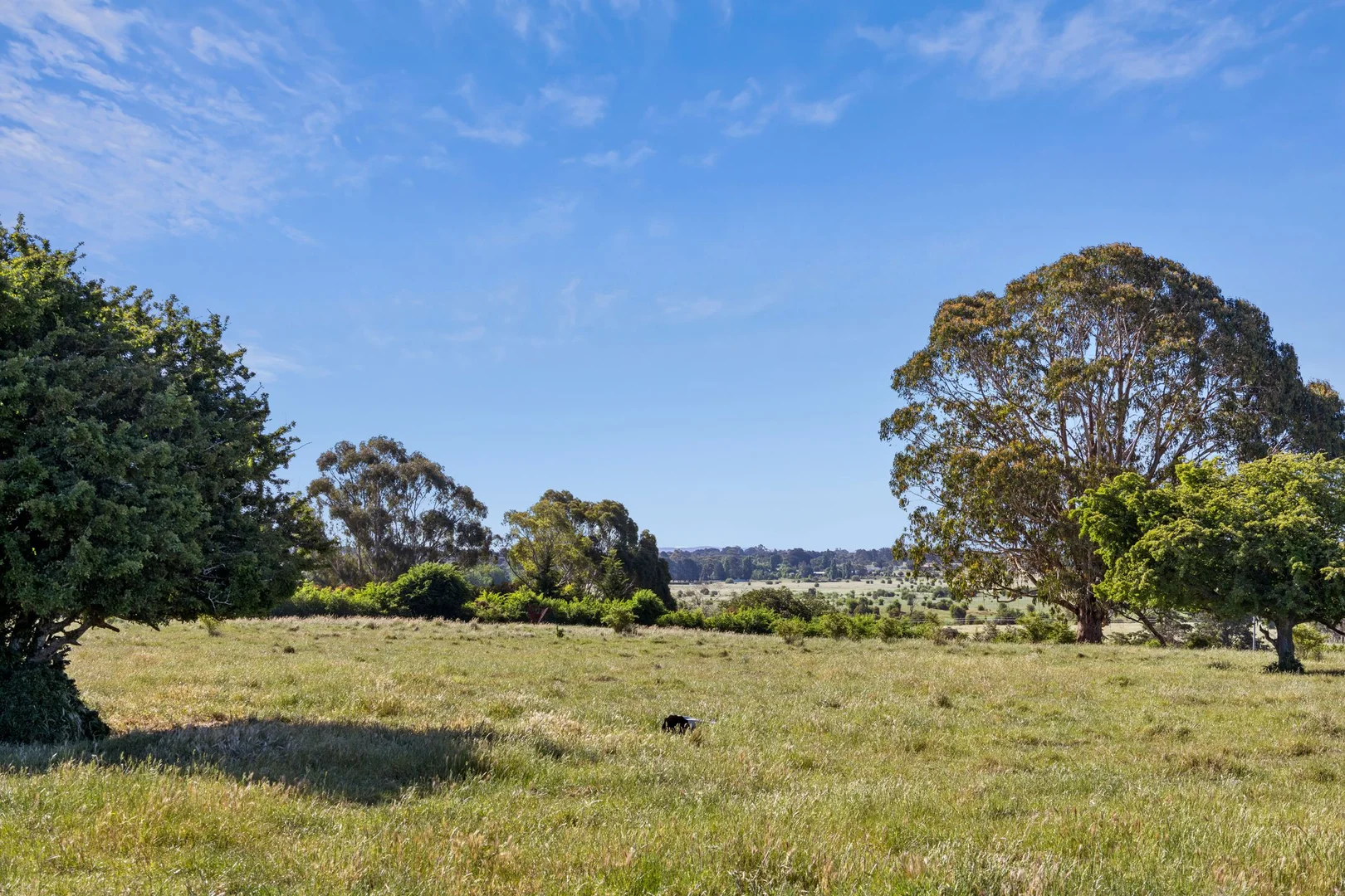 Additional image 9 of Burton Avenue, Kyneton VIC 3444