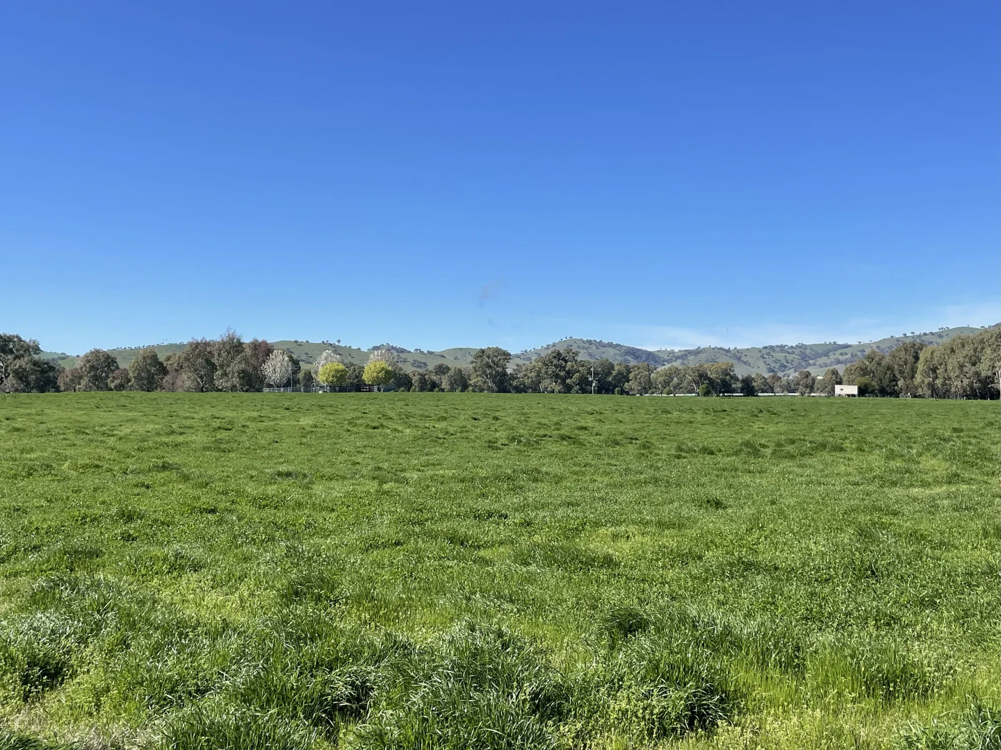 Additional image 40 of 44 Dodd Street, Gundagai NSW 2722