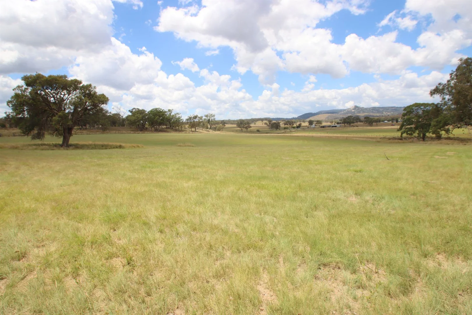 Additional image 4 of 110B Sunnyside Platform Road, Tenterfield NSW 2372