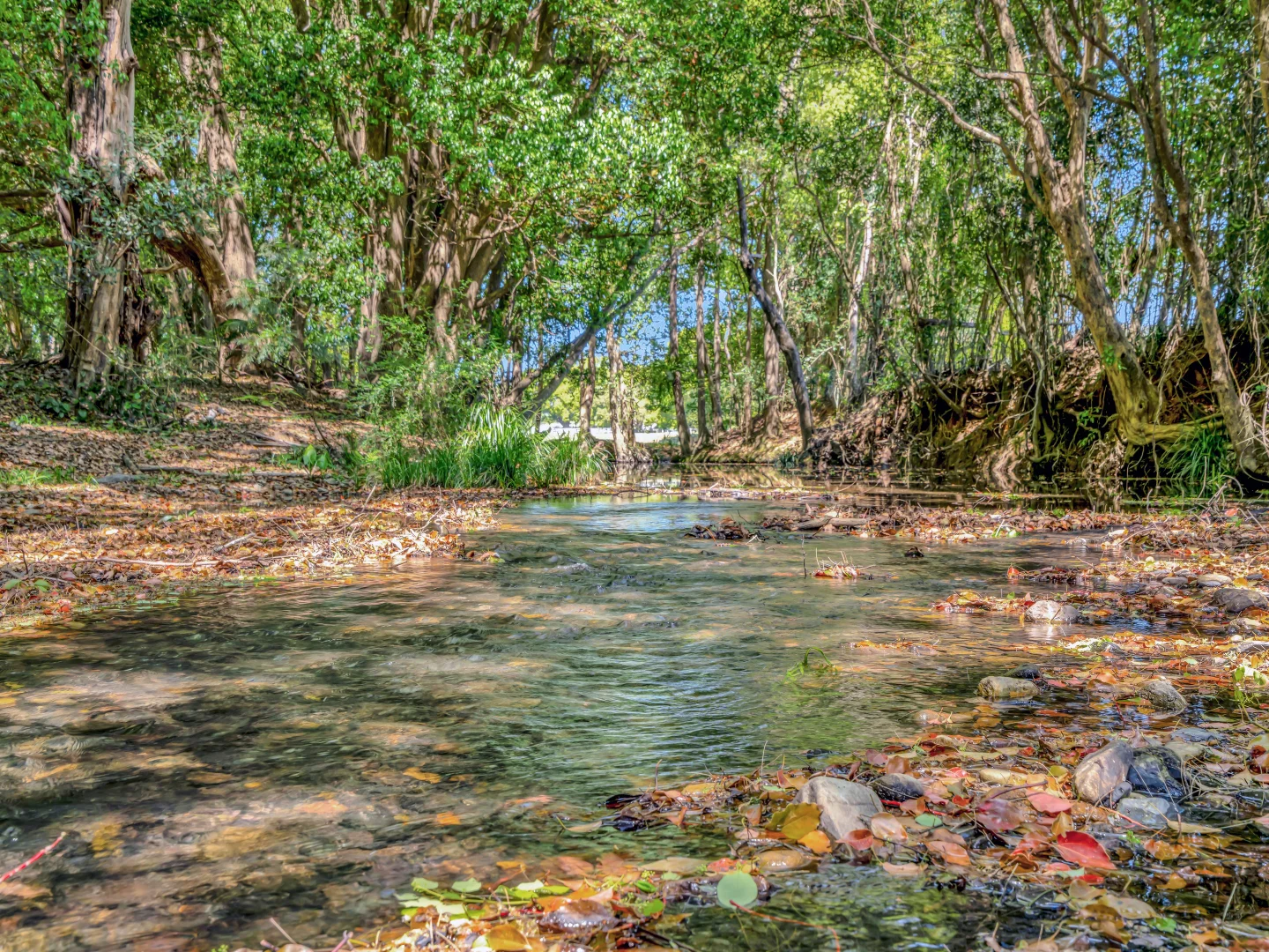 Additional image 2 of 923 Orara Way, Nana Glen NSW 2450