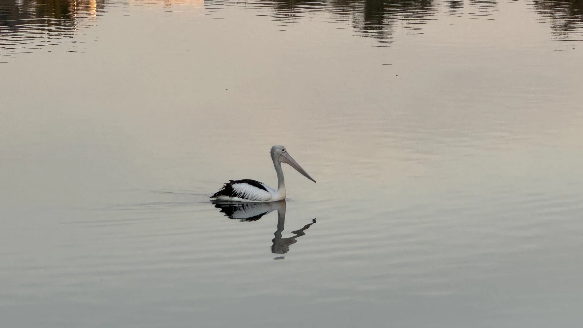 Additional image 4 of 34 Boatshed, Frankston VIC 3199