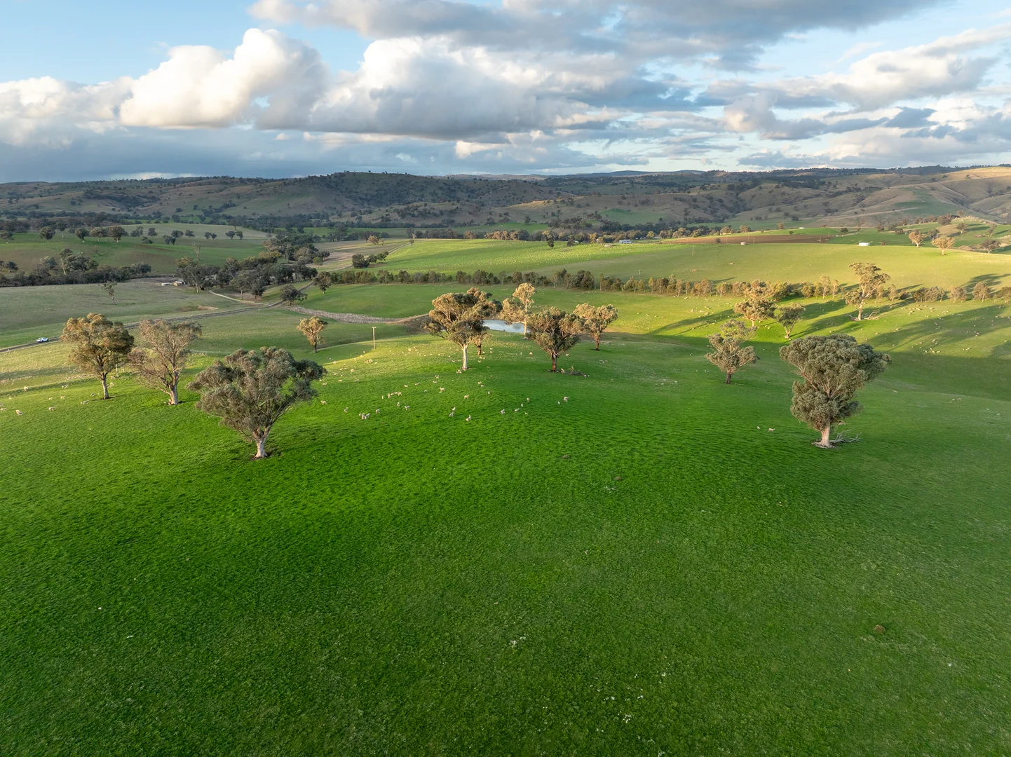 Additional image 34 of 1507 Pine Mount Road, Woodstock NSW 2793