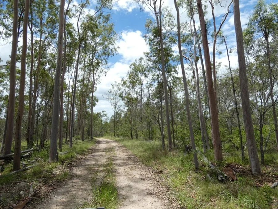 Additional image 31 of Lot 43 Moolyung Road, Waterloo QLD 4673