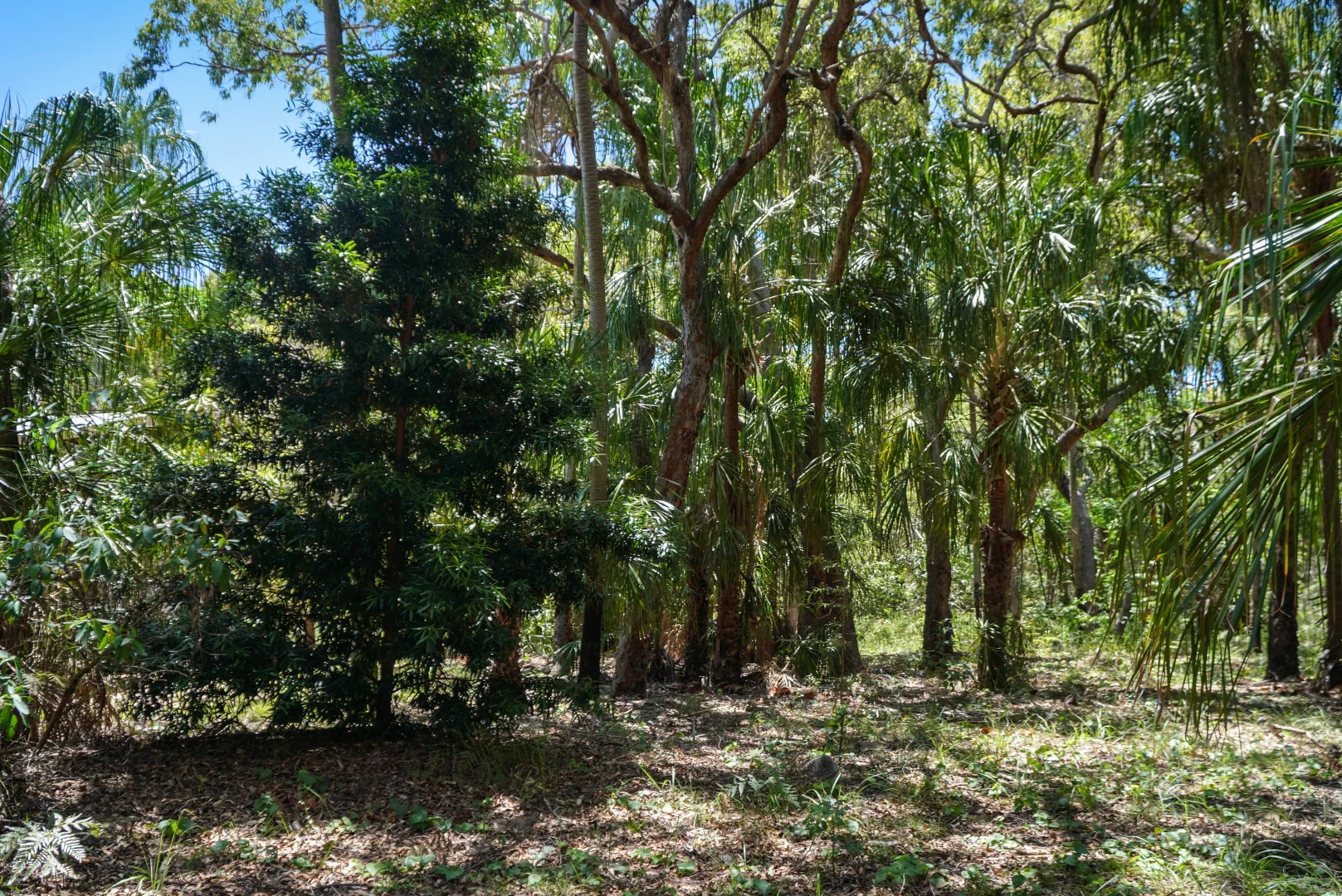 Additional image 27 of 35 Bloodwood Avenue, Agnes Water QLD 4677