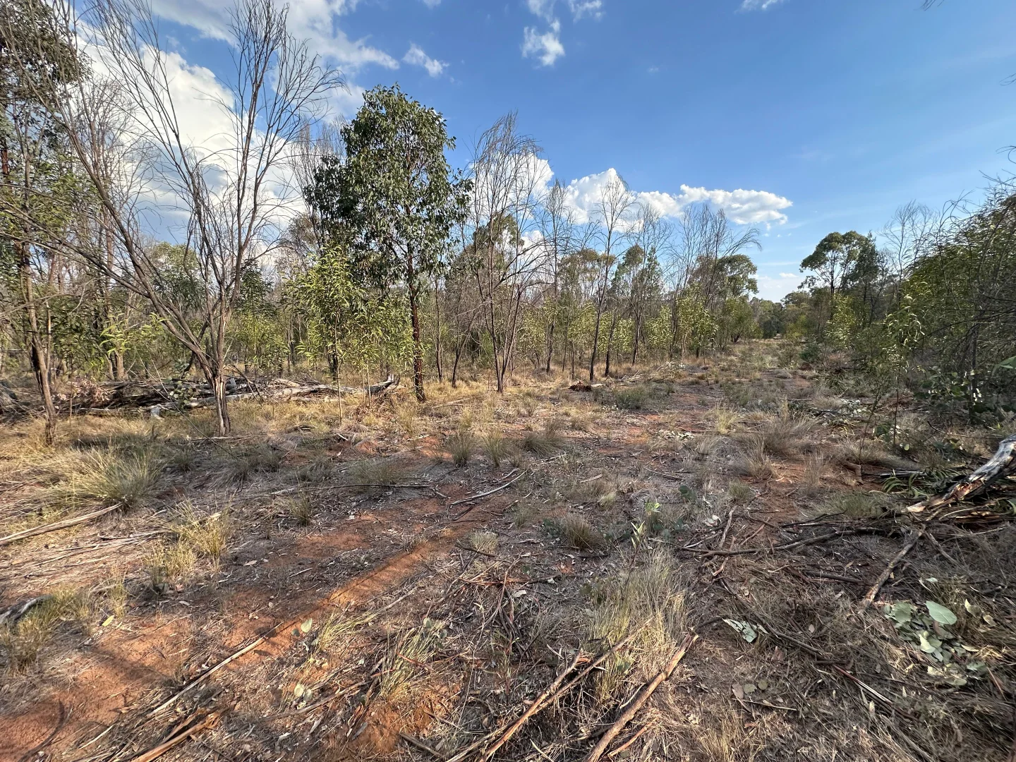 Additional image 18 of 15778 Surat Development Road, Goranba QLD 4421