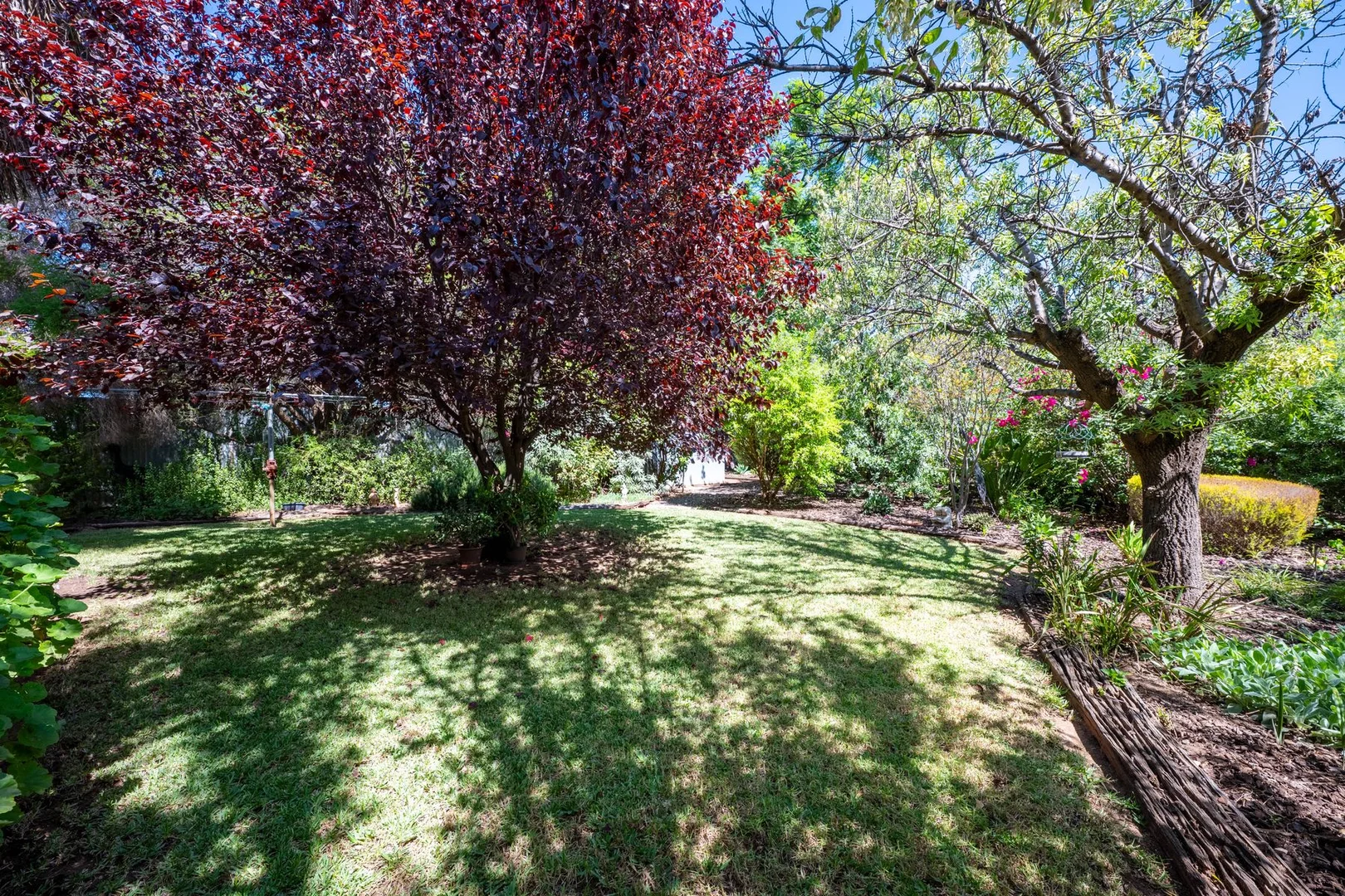 Additional image 14 of 43 Hunter Street, Mildura VIC 3500