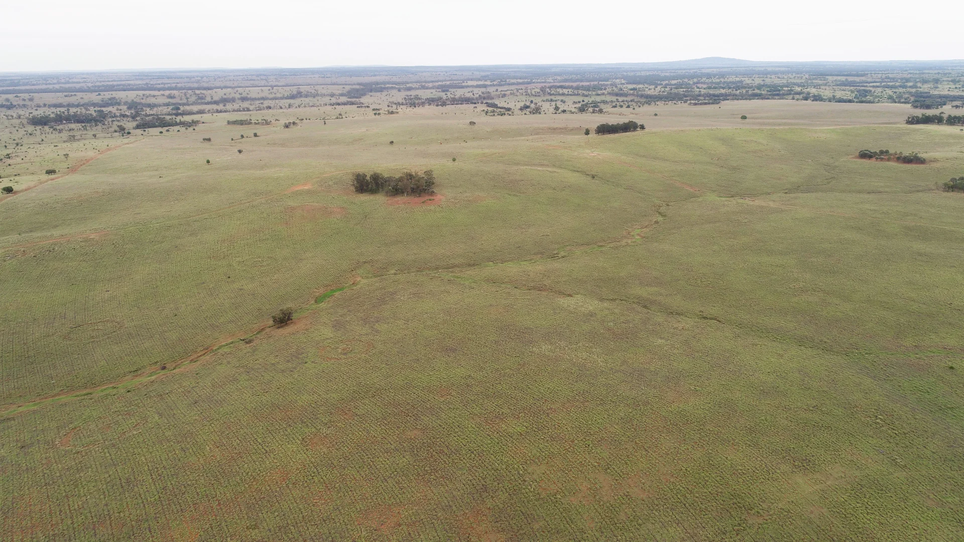 Additional image 15 of 'Bracco' Orallo Road, Roma QLD 4455