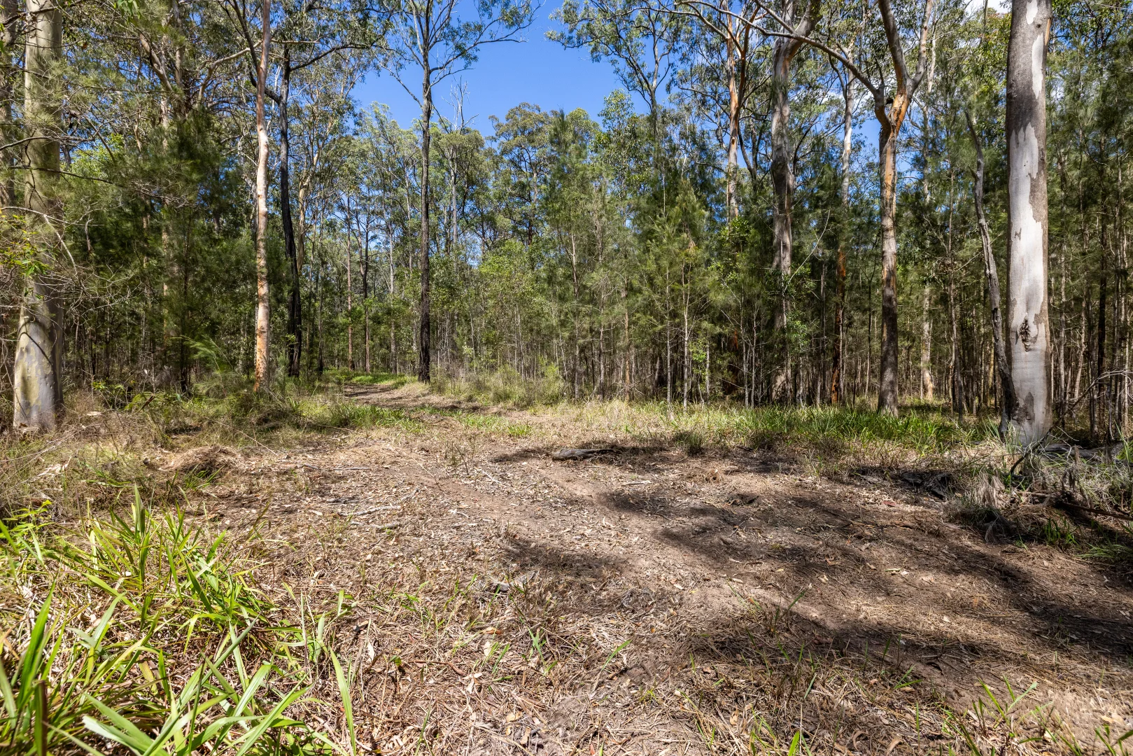 Additional image 6 of Lot 26 Warrina Circuit, Minimbah NSW 2312