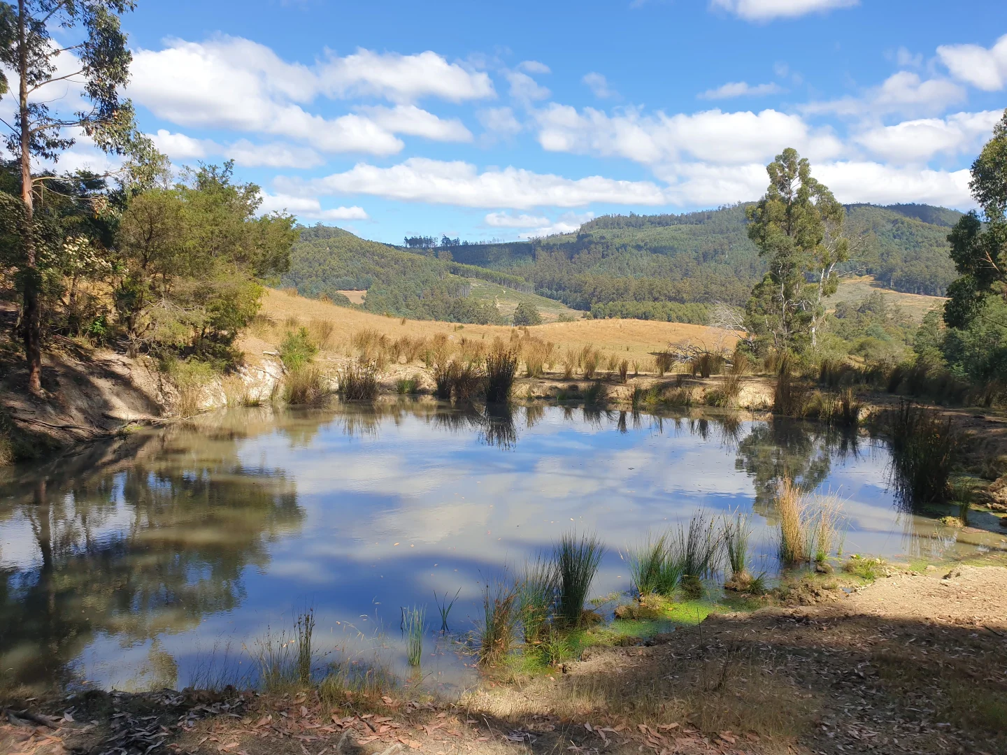 Additional image 11 of Lot 1 Huon Highway, Dover TAS 7117
