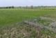 Additional image 22 of Sheriff Hutton, York