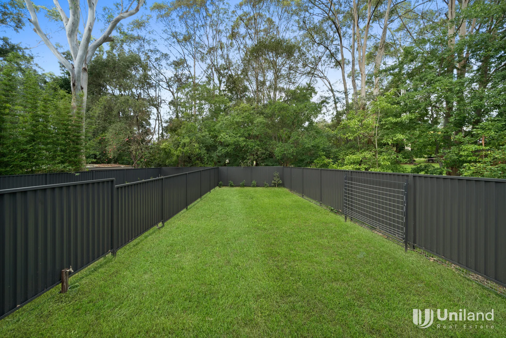 Additional image 14 of 16A Marook Street, Carlingford NSW 2118