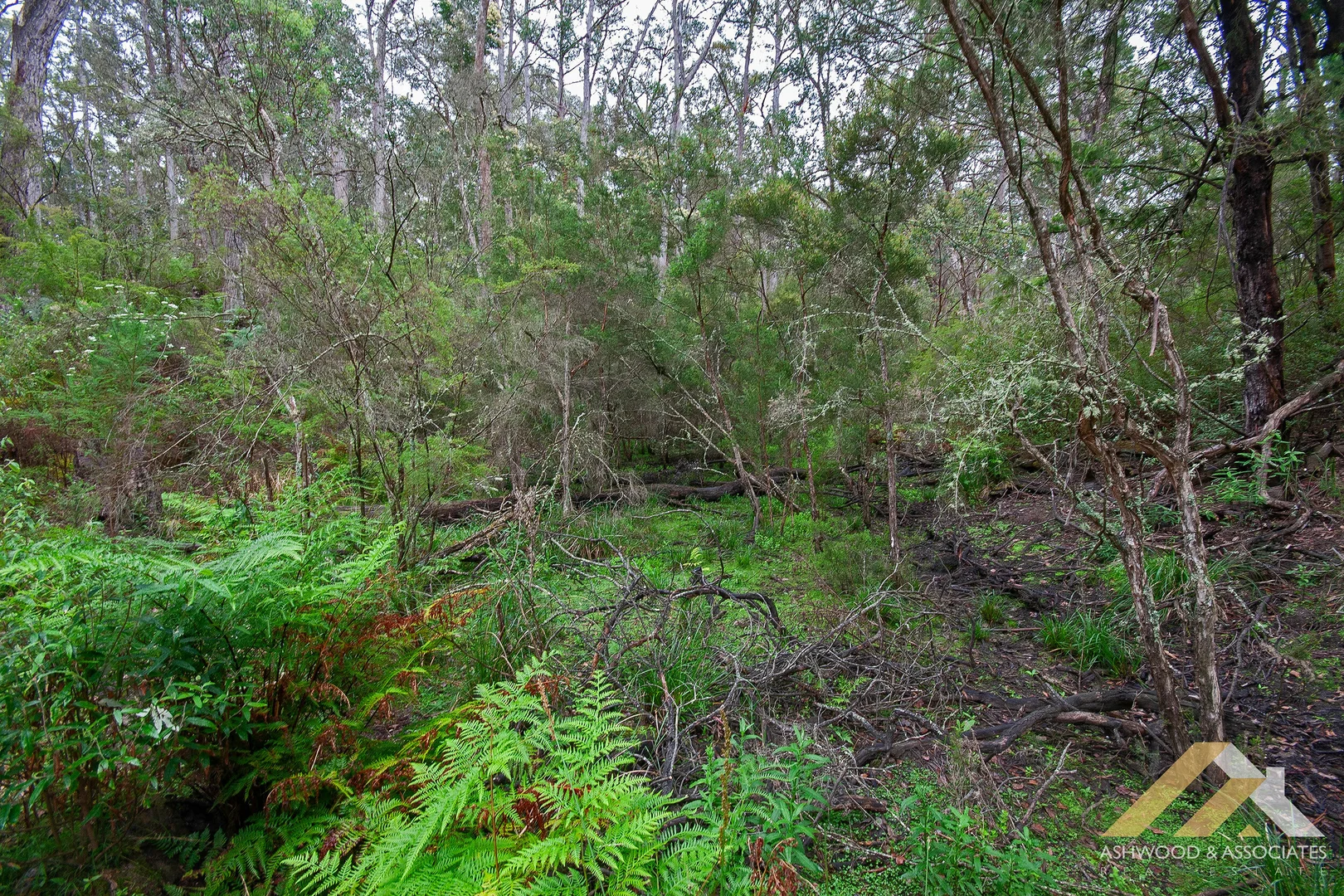 Additional image 38 of 154 Howletts Rd, Nicholson VIC 3882