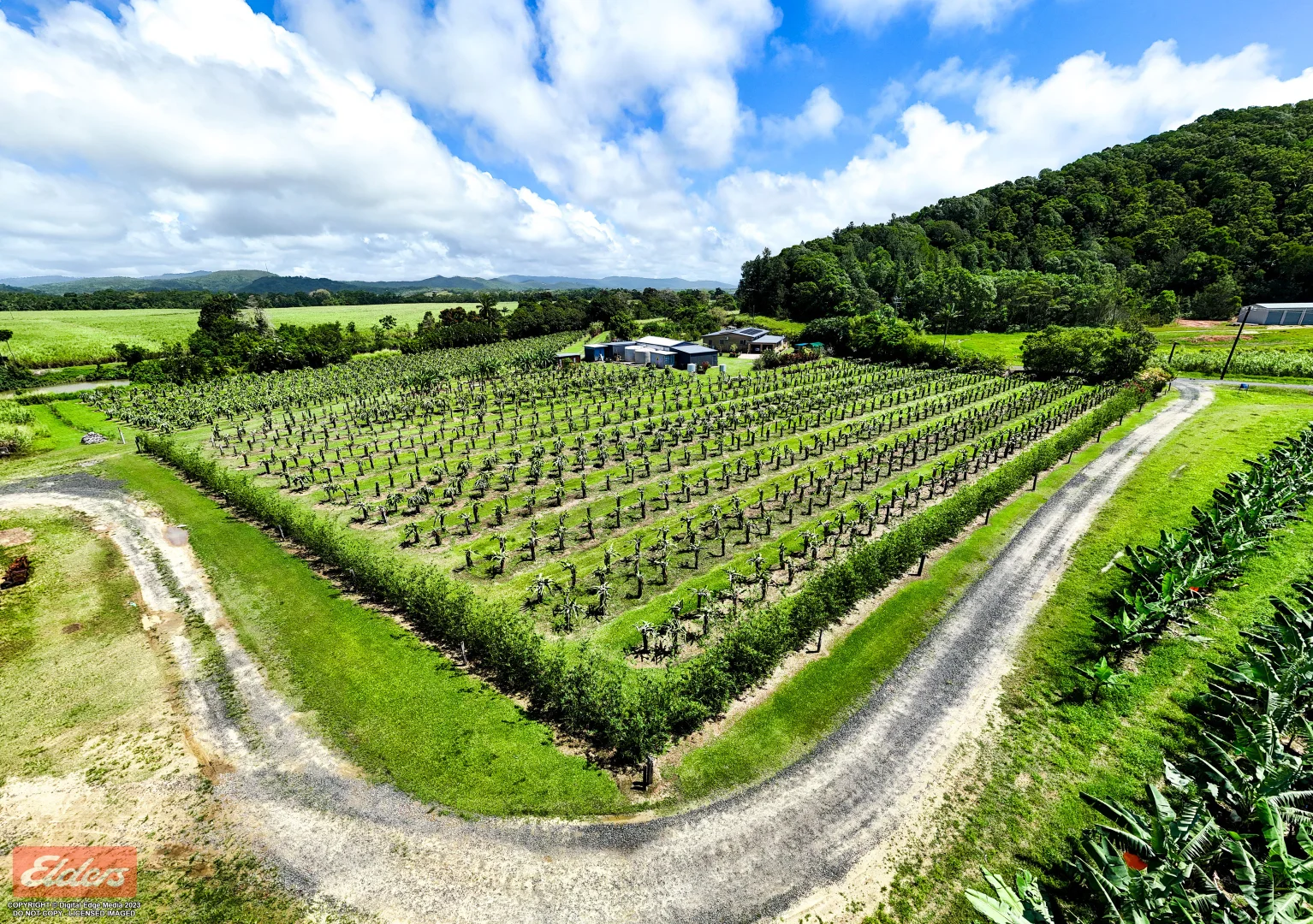 Additional image 10 of 430 Cowley Beach Road, Lower Cowley QLD 4871