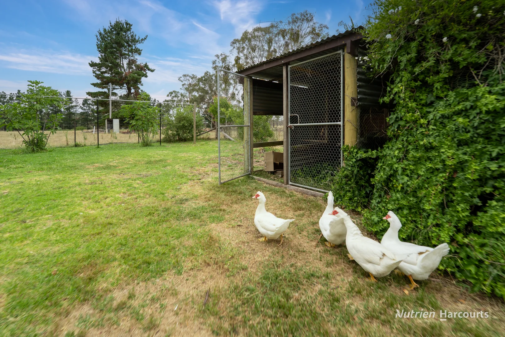 Additional image 16 of 40 Jacksons Road, Armidale NSW 2350