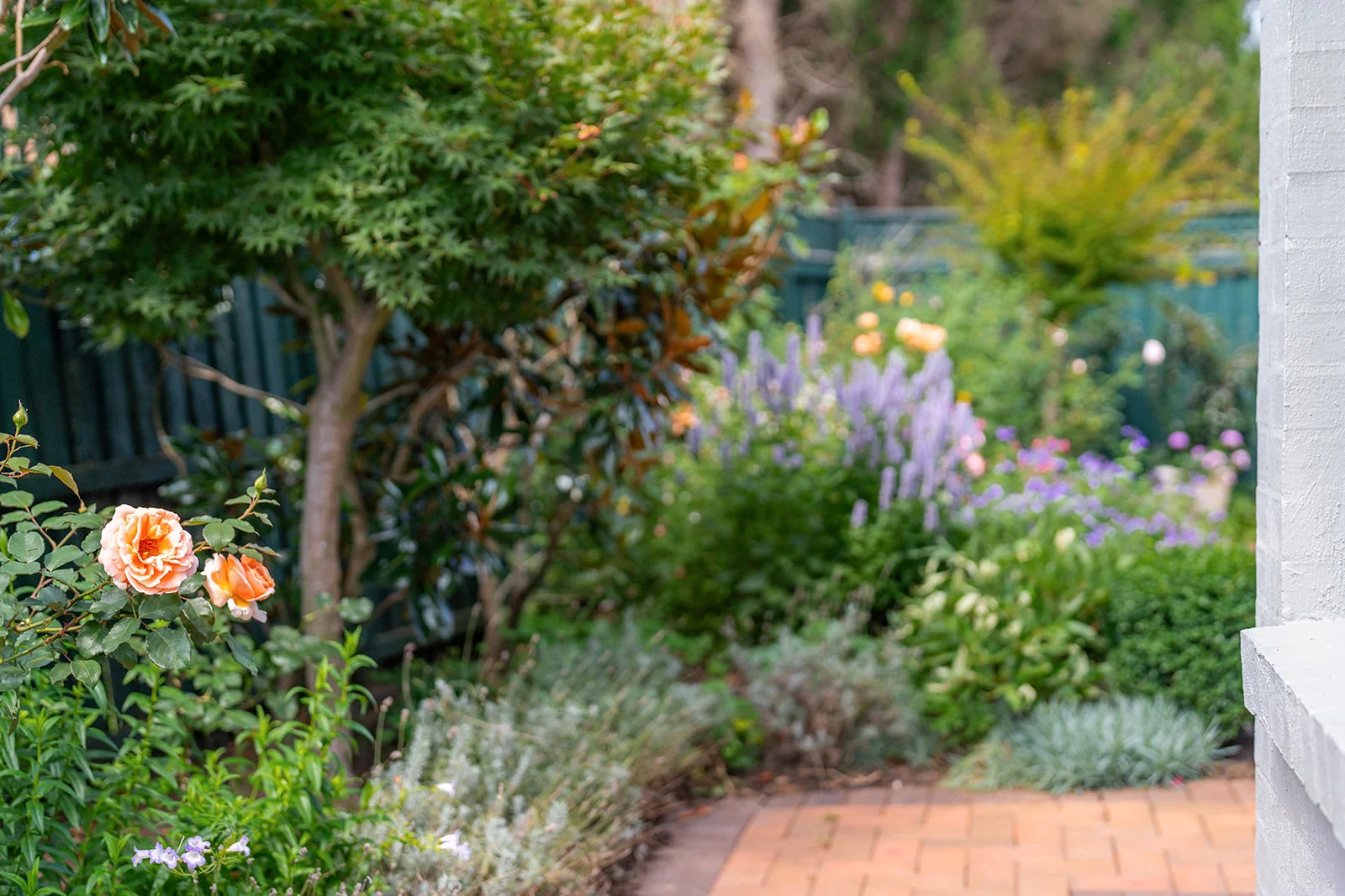 Additional image 21 of 9/7 David Street, Bowral NSW 2576