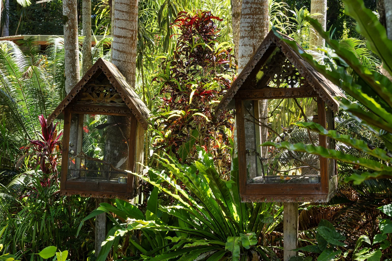 Additional image 6 of 10 Angus Place, Ewingsdale NSW 2481