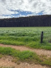 Additional image 9 of 226 Hursts Road, Lileah TAS 7330