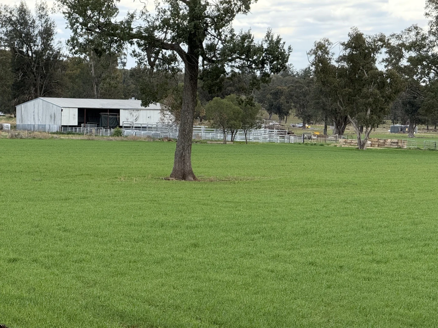 Additional image 3 of 877 Mount Tallabung Road, Forbes NSW 2871
