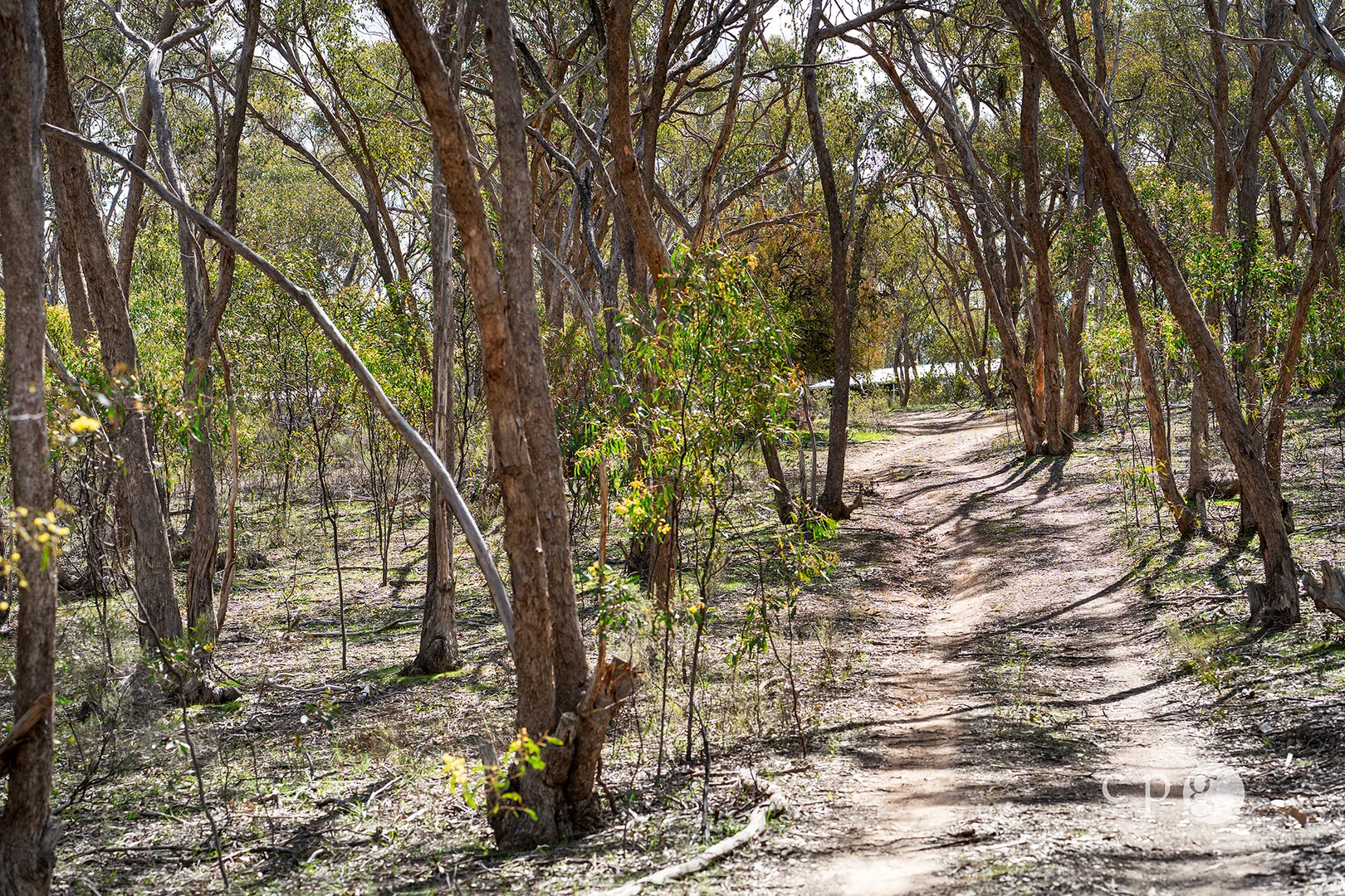 Additional image 21 of 378 Sandy Creek Road, Maldon VIC 3463