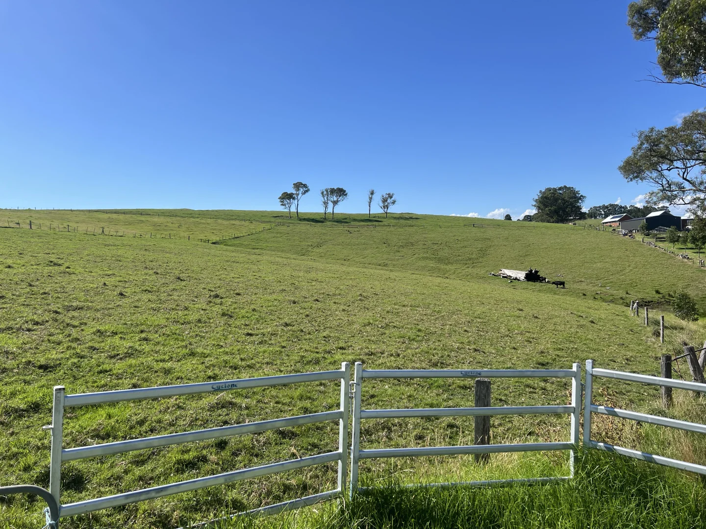 Additional image 2 of 471 Princes Highway, Orbost VIC 3888