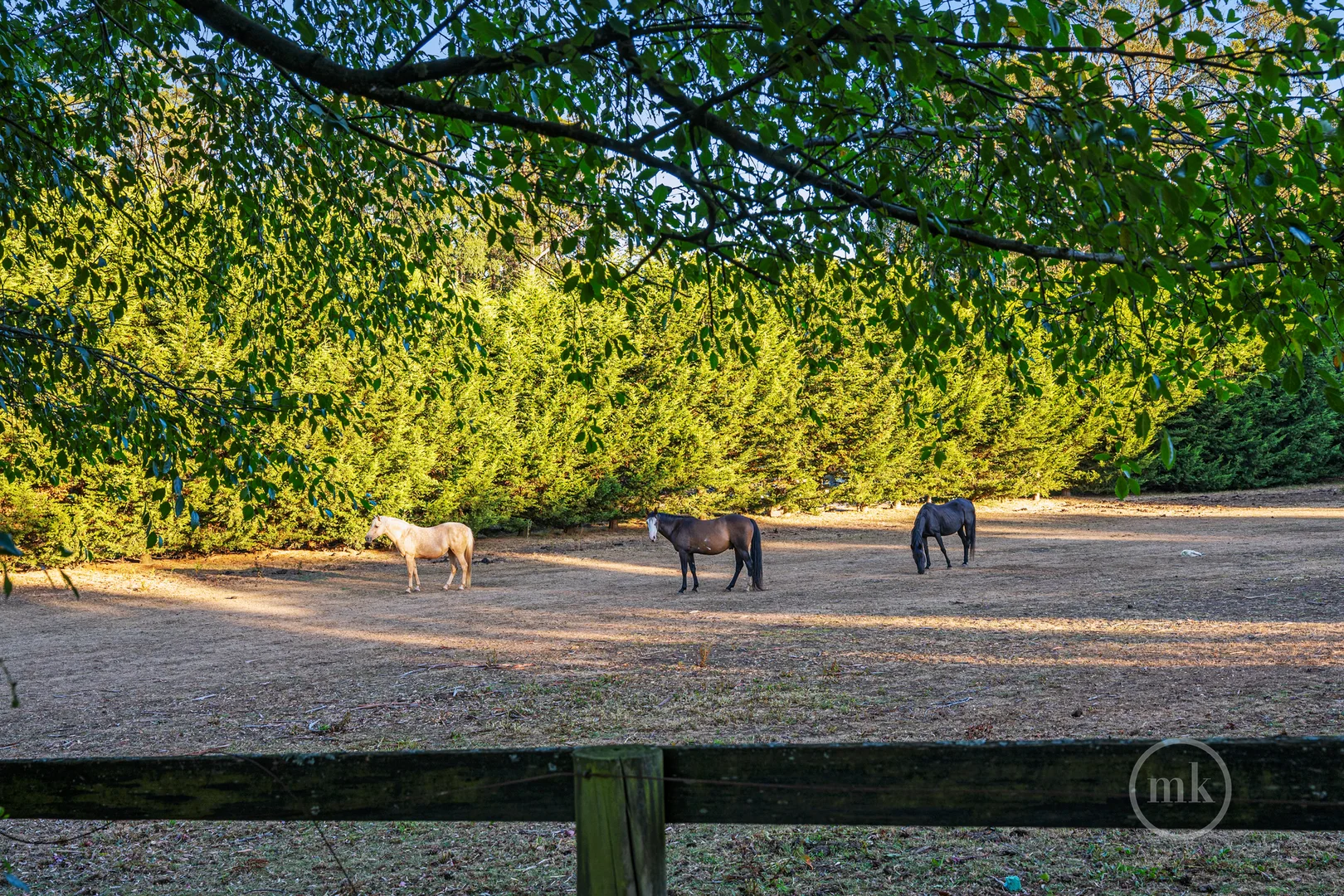 Additional image 15 of 60 Orchard Road, Kinglake VIC 3763