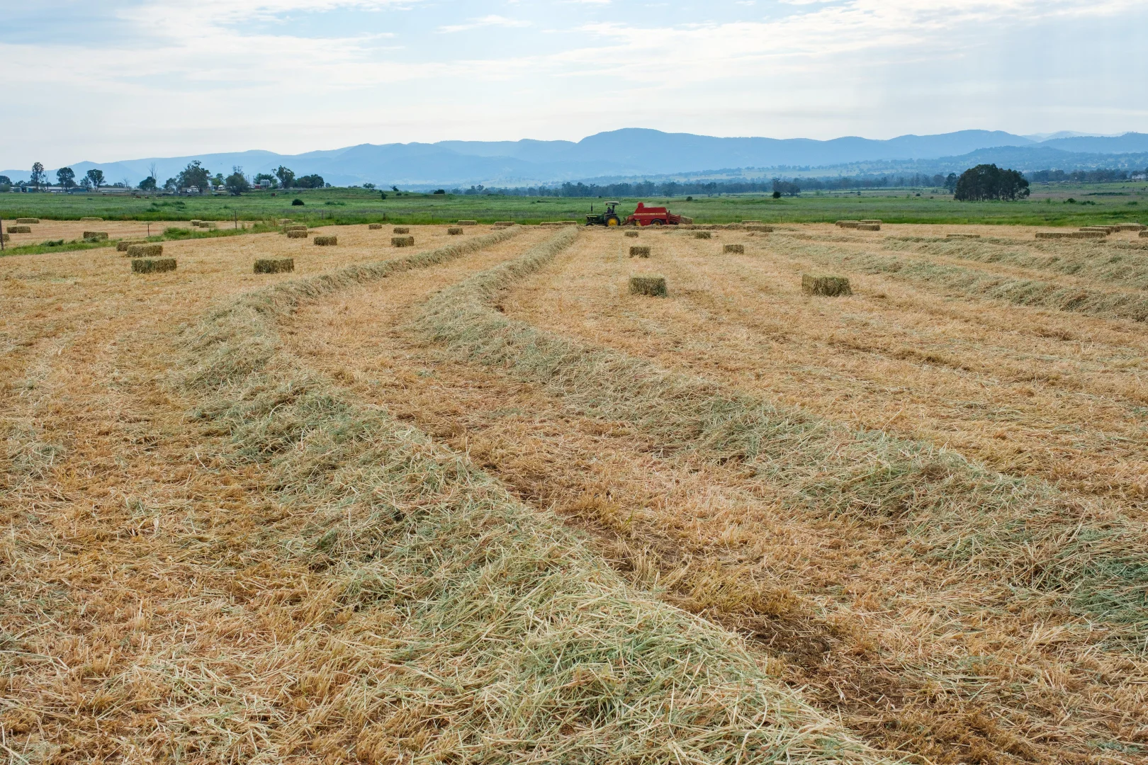 Additional image 4 of 1480 Oxley Highway, Tamworth NSW 2340