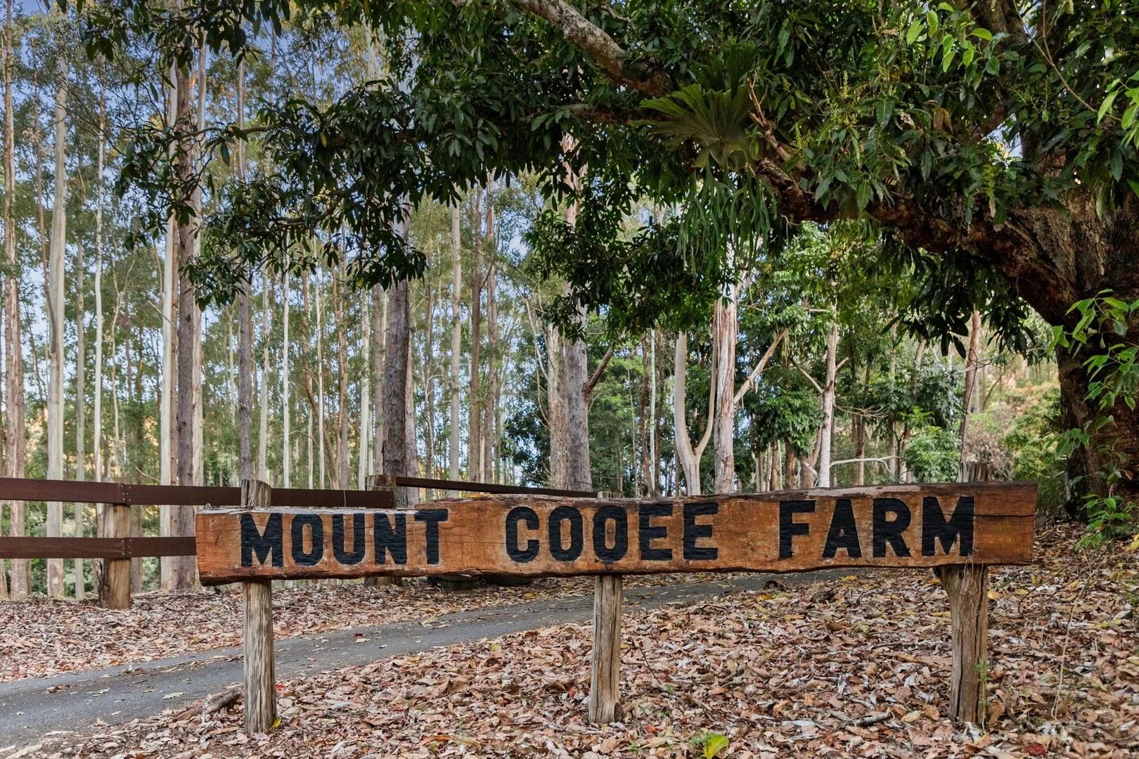 Additional image 15 of 139 Barrs Road, Glass House Mountains QLD 4518