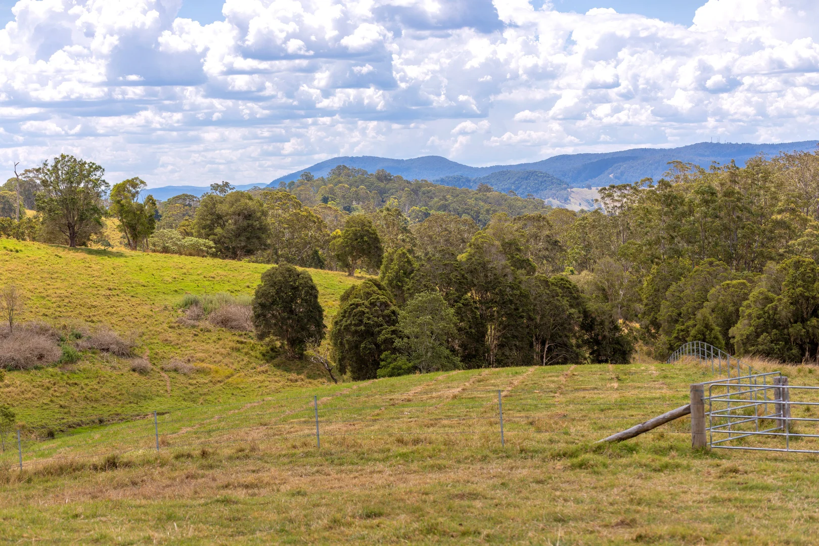 Additional image 21 of 129 Days Road, Belbora NSW 2422