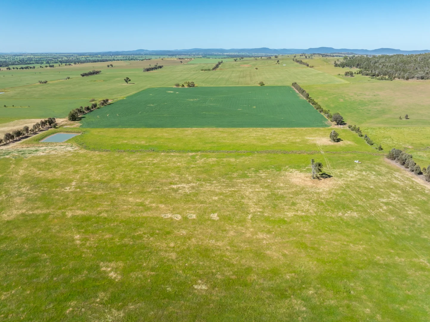 Additional image 34 of 92 Campbells Lane, Canowindra NSW 2804