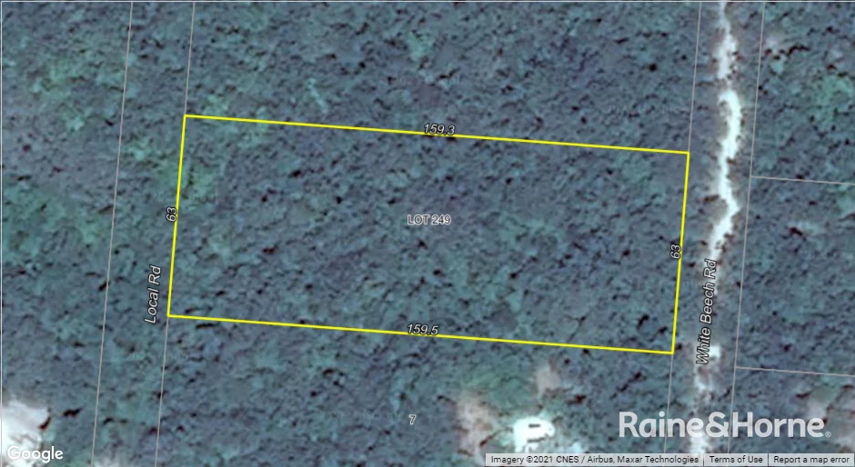 Additional image 24 of Lot 249 White Beech Road, Cow Bay, Daintree QLD 4873