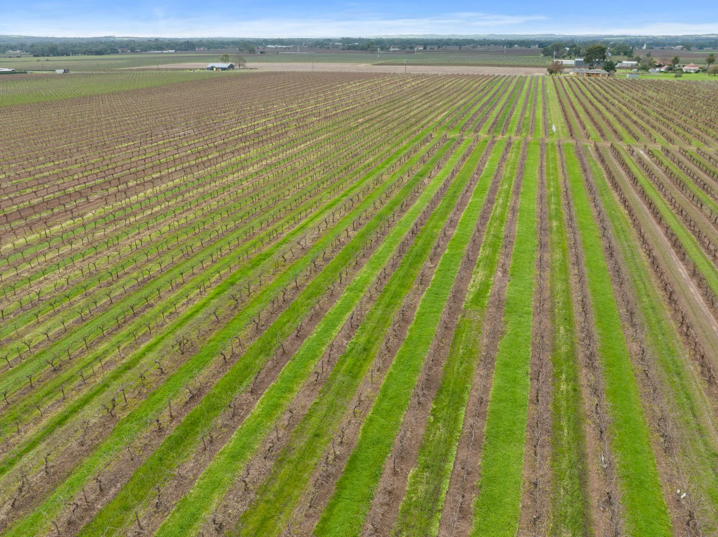 Additional image 17 of Lot 351 Angaston Road, Nuriootpa SA 5355