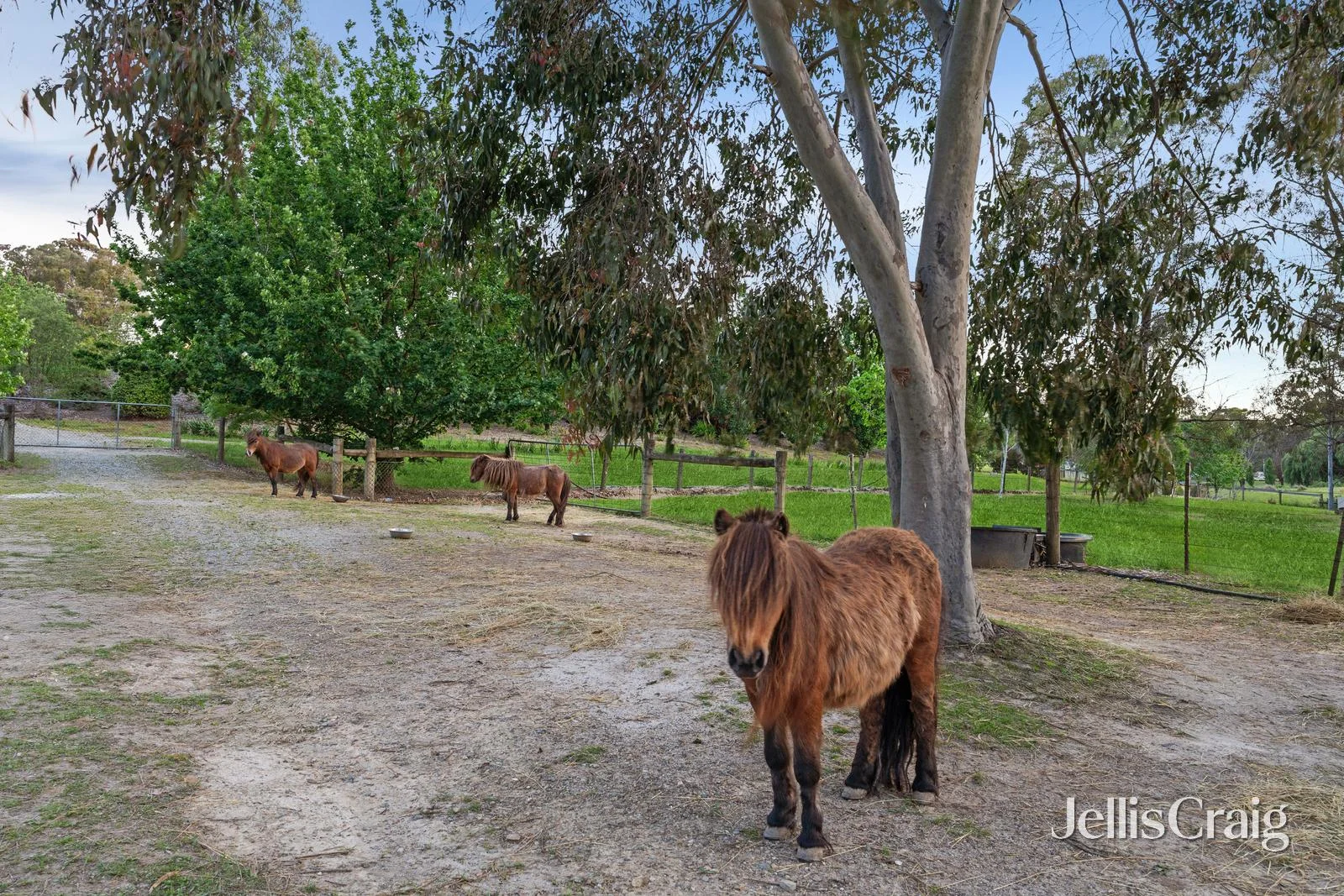 Additional image 18 of 7 Honeysuckle Way, Chirnside Park VIC 3116