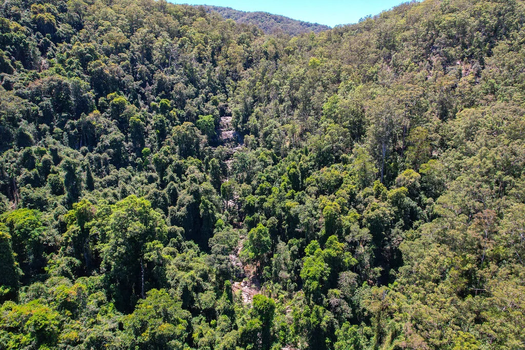 Additional image 29 of 147 Rosses Road, Gloucester NSW 2422