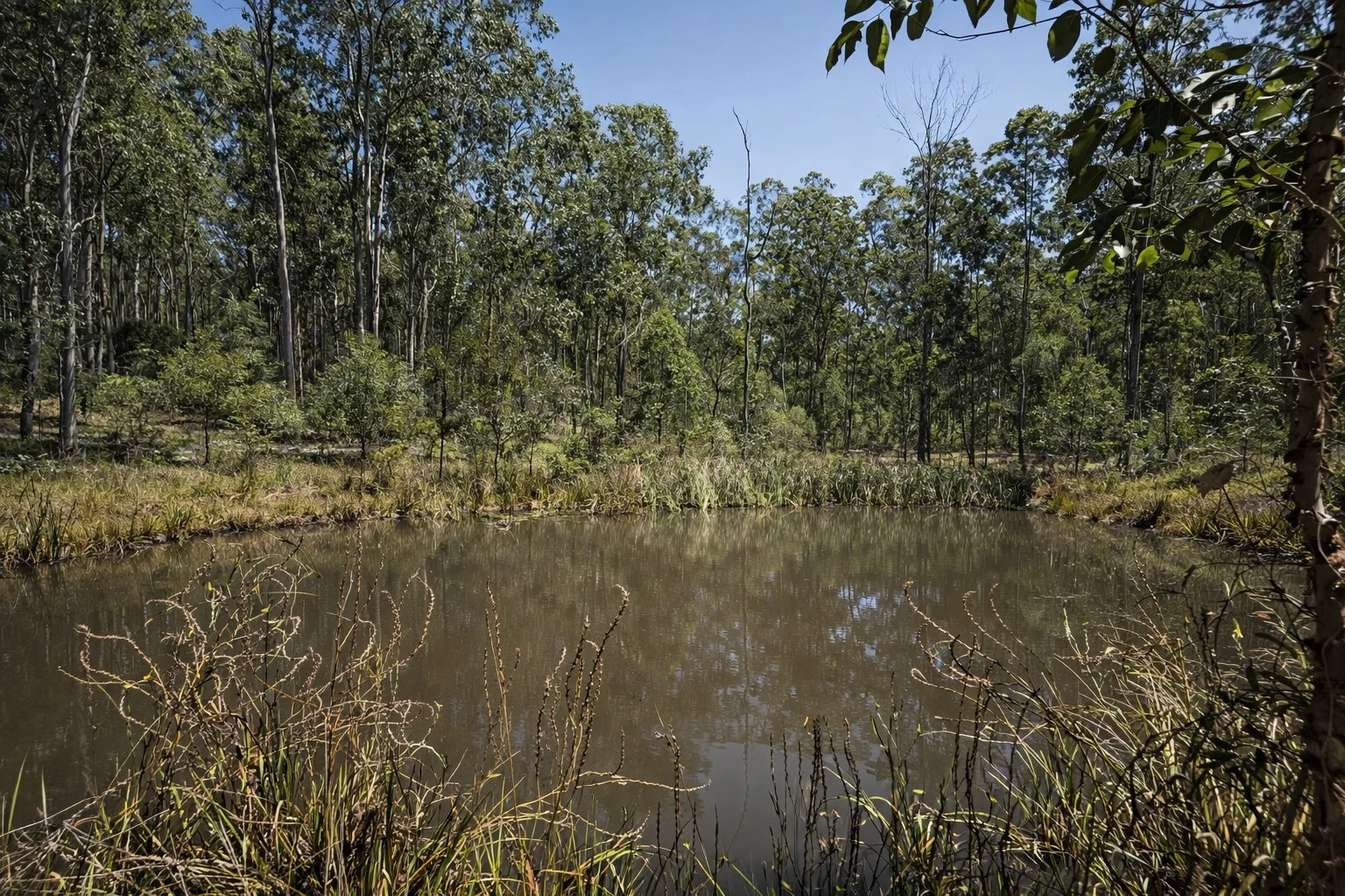 Additional image 17 of Lot 9 Old Six Mile Lane, Glenugie NSW 2460