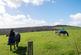 Additional image 9 of Lelant, St. Ives, Cornwall, TR26