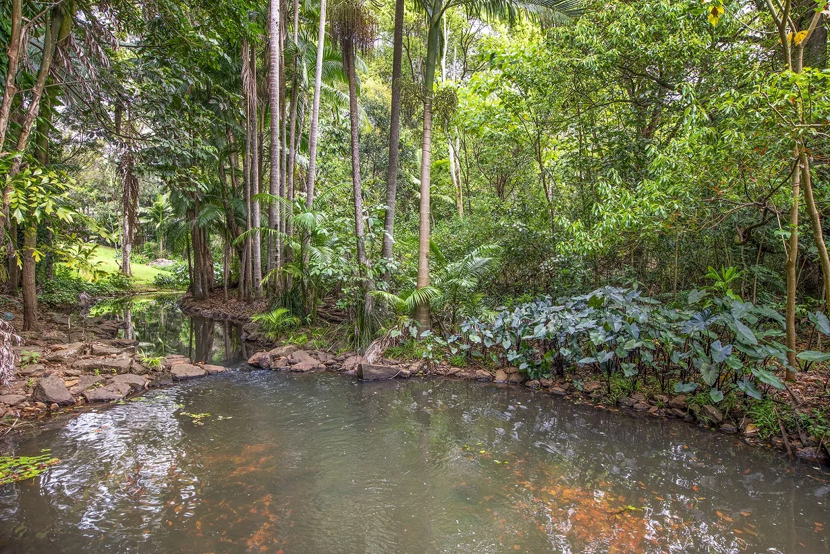 Additional image 25 of 10 Angus Place, Ewingsdale NSW 2481